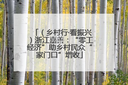 （乡村行·看振兴）浙江嘉善：“零工经济”助乡村民众“家门口”增收