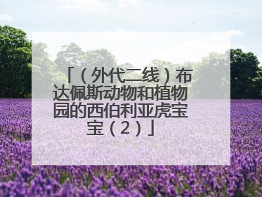 （外代二线）布达佩斯动物和植物园的西伯利亚虎宝宝（2）