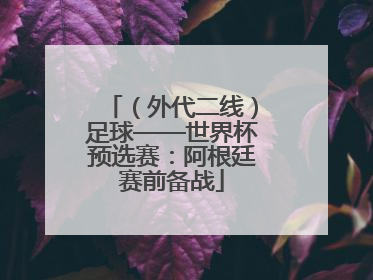 （外代二线）足球——世界杯预选赛：阿根廷赛前备战