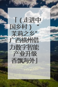 （走进中国乡村）“茉莉之乡”广西横州借力数字智能 产业升级香飘海外