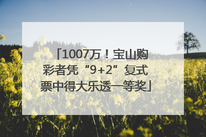 1007万！宝山购彩者凭“9+2”复式票中得大乐透一等奖