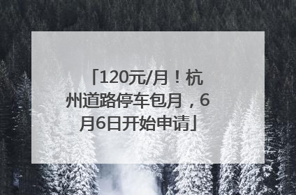 120元/月！杭州道路停车包月，6月6日开始申请