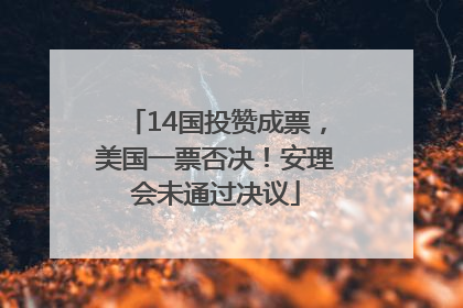 14国投赞成票，美国一票否决！安理会未通过决议