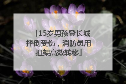15岁男孩登长城摔倒受伤，消防员用担架高效转移