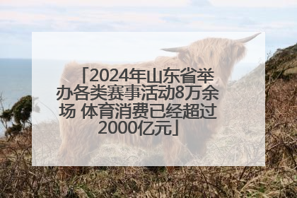 2024年山东省举办各类赛事活动8万余场 体育消费已经超过2000亿元