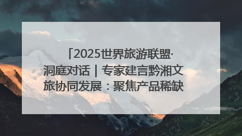 2025世界旅游联盟·洞庭对话｜专家建言黔湘文旅协同发展：聚焦产品稀缺性 深化区域经验共享