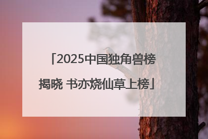 2025中国独角兽榜揭晓 书亦烧仙草上榜