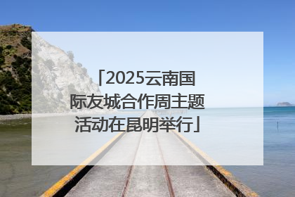 2025云南国际友城合作周主题活动在昆明举行
