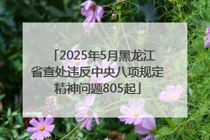 2025年5月黑龙江省查处违反中央八项规定精神问题805起