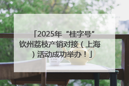 2025年“桂字号”钦州荔枝产销对接（上海）活动成功举办！