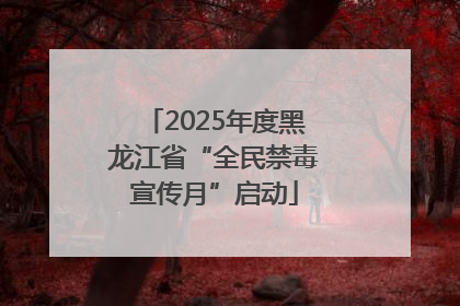 2025年度黑龙江省“全民禁毒宣传月”启动
