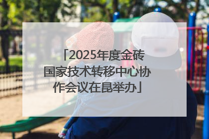 2025年度金砖国家技术转移中心协作会议在昆举办
