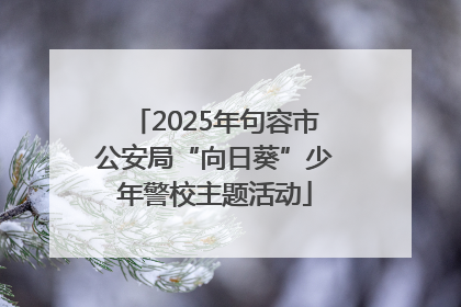 2025年句容市公安局“向日葵”少年警校主题活动