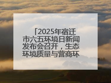 2025年宿迁市六五环境日新闻发布会召开，生态环境质量与营商环境双优化