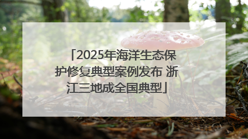 2025年海洋生态保护修复典型案例发布 浙江三地成全国典型