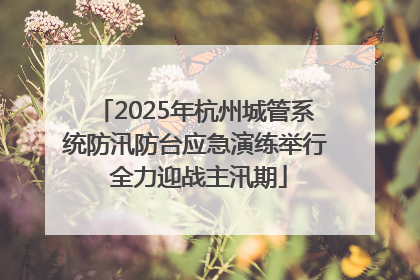 2025年杭州城管系统防汛防台应急演练举行 全力迎战主汛期