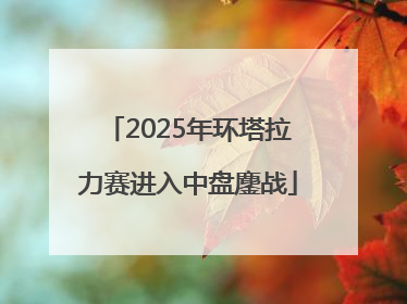 2025年环塔拉力赛进入中盘鏖战
