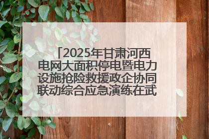 2025年甘肃河西电网大面积停电暨电力设施抢险救援政企协同联动综合应急演练在武威成功举行