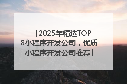 2025年精选TOP8小程序开发公司，优质小程序开发公司推荐
