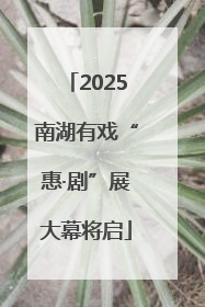 2025南湖有戏“惠·剧”展大幕将启