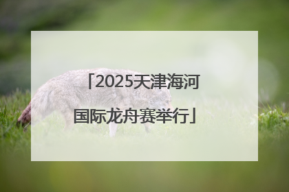 2025天津海河国际龙舟赛举行