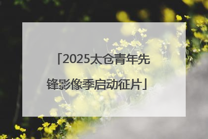 2025太仓青年先锋影像季启动征片