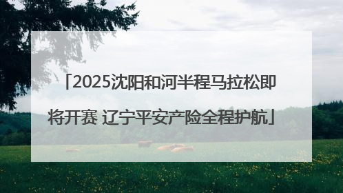 2025沈阳和河半程马拉松即将开赛 辽宁平安产险全程护航