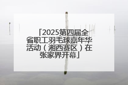 2025第四届全省职工羽毛球嘉年华活动（湘西赛区）在张家界开幕