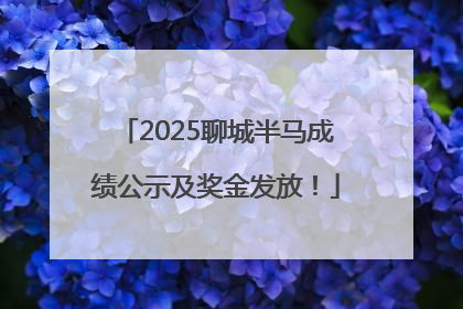 2025聊城半马成绩公示及奖金发放！