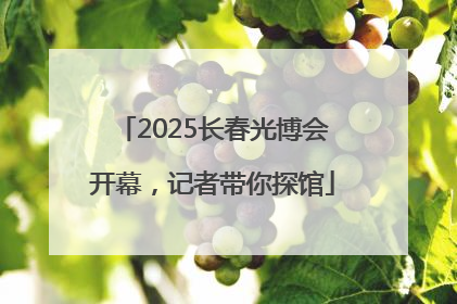 2025长春光博会开幕，记者带你探馆
