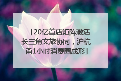 20亿首店矩阵激活长三角文旅协同，沪杭甬1小时消费圈成形