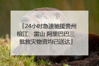 24小时急速驰援贵州榕江、雷山 阿里巴巴三批救灾物资均已送达