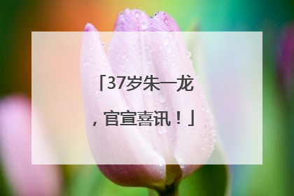 37岁朱一龙，官宣喜讯！