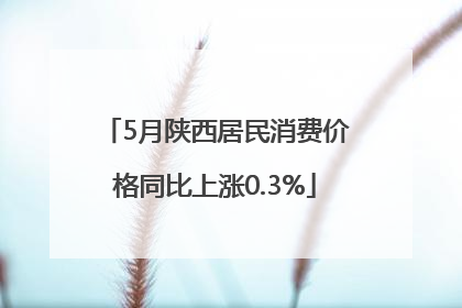 5月陕西居民消费价格同比上涨0.3%