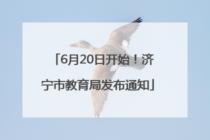 6月20日开始！济宁市教育局发布通知
