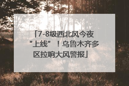 7-8级西北风今夜“上线”！乌鲁木齐多区拉响大风警报