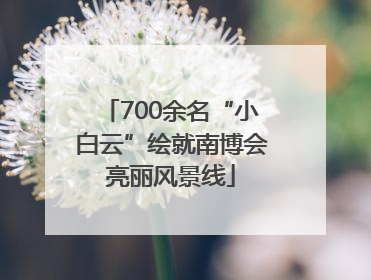700余名“小白云”绘就南博会亮丽风景线