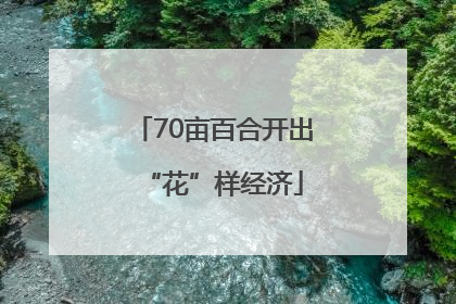 70亩百合开出“花”样经济