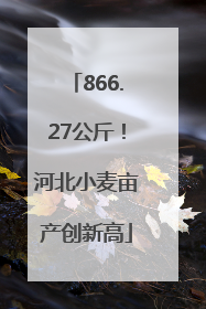 866.27公斤！河北小麦亩产创新高