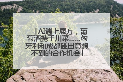 AI遇上魔方，葡萄酒携手川菜……匈牙利和成都碰出意想不到的合作机会