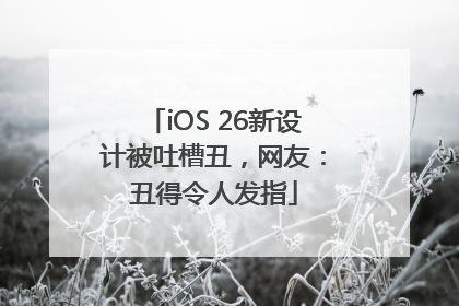 iOS 26新设计被吐槽丑，网友：丑得令人发指
